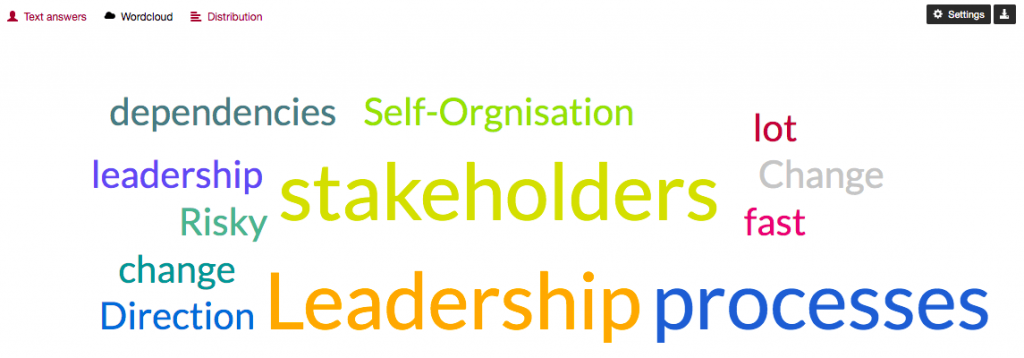 Visualization of text responses with a word cloud