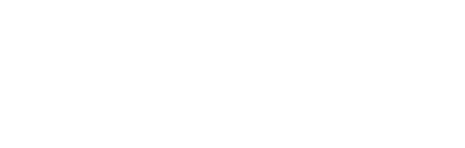 Surveys for different topics