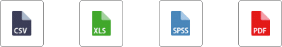Export-each-result-representation-directly-into-wanted-format