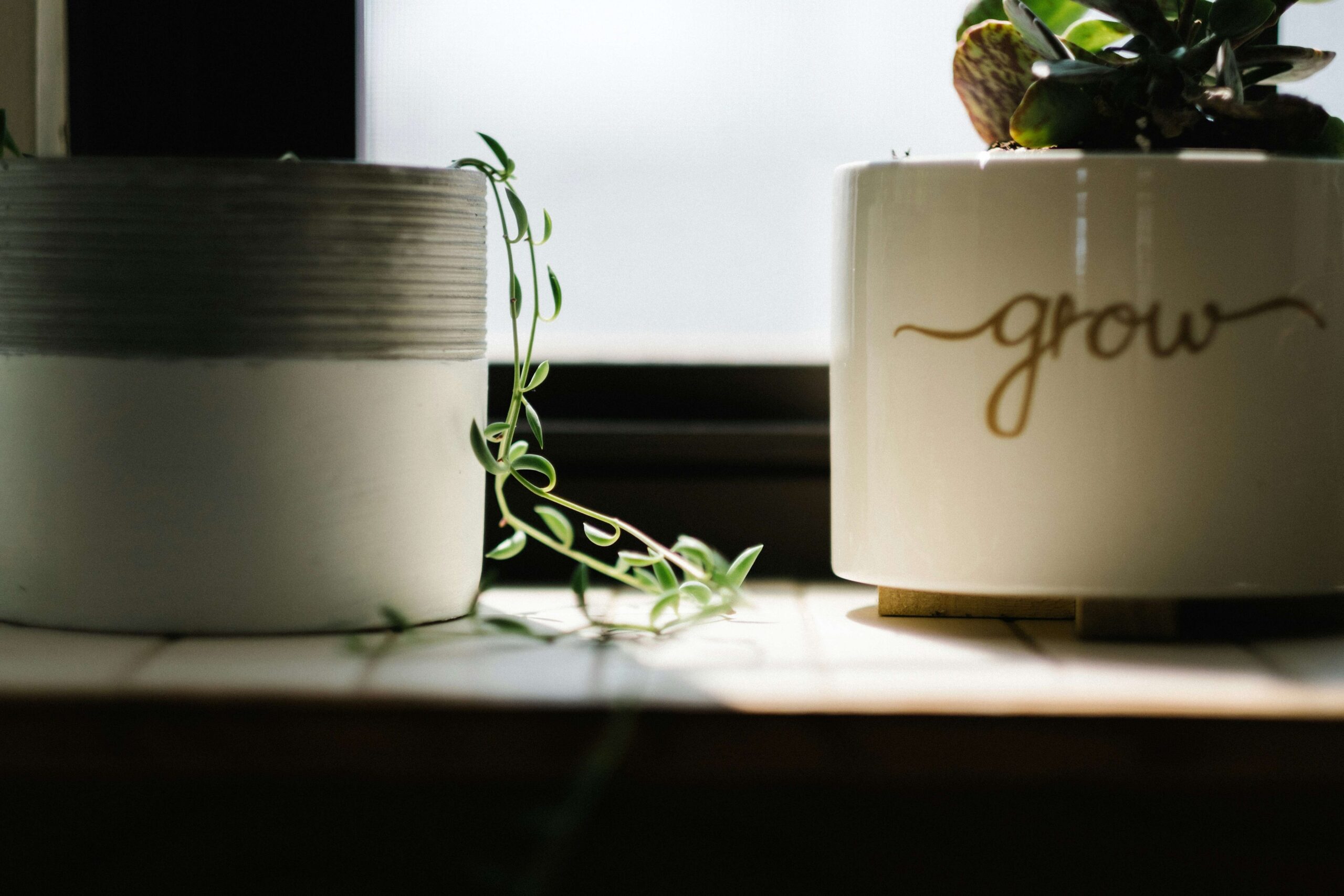 Growth hacking process The path to rapid growth