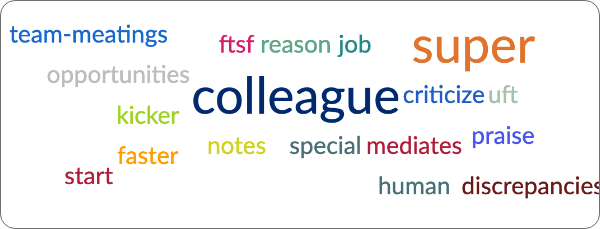 Display subject areas as a word cloud
