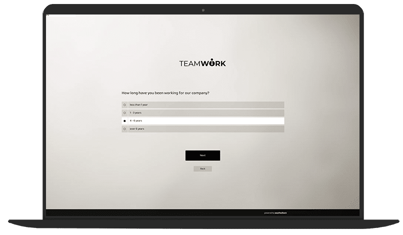 Job Satisfaction Questionnaire Template