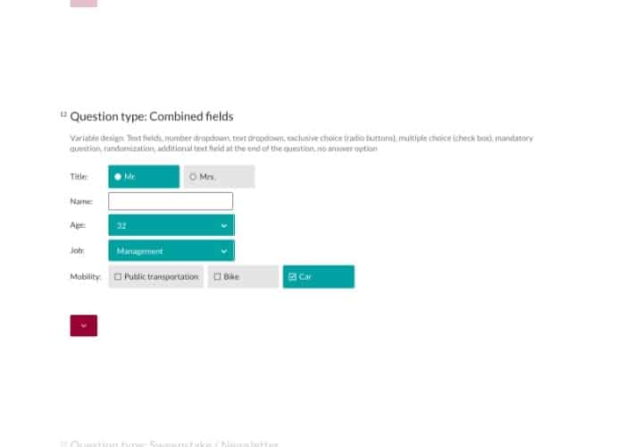 Question Type: Combined Fields and Variable Questions