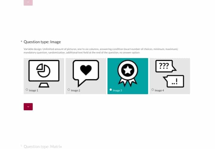 Question Type: Image Questions