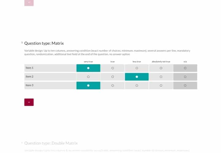 Question Type: Matrix Questions