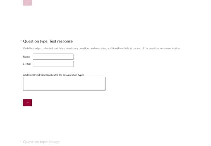 Question Type: Open Questions and Textfields