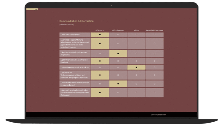 360 Grad Feedback Umfrage Vorlage